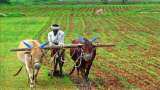 Monsoon 2021 expected to rescue India&#039;s agriculture in FY22: Ind-Ra