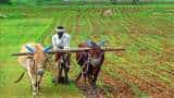 Monsoon 2021 expected to rescue India&#039;s agriculture in FY22: Ind-Ra