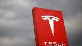Multibagger Opportunity! Indian investor own Tesla too, but in their portfolio: Experts