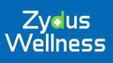 Zydus Wellness Q2 net profit at Rs 21 cr
