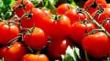 Tomato prices to remain elevated for two more months: Crisil Research