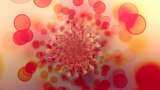 First Omicron case in US adds to global alarm over virus variant First Omicron case in US adds to global alarm over virus variant