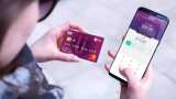 PhonePe posts 200% growth YoY in offline merchant transactions PhonePe posts 200% growth YoY in offline merchant transactions