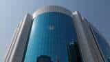 Sebi bans launch of new derivative contracts of crude palm oil, few other agri commodities