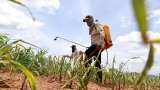 Parliamentary panel backs government proposal on penalty, jail term in Pesticide Management Bill Parliamentary panel backs government proposal on penalty, jail term in Pesticide Management Bill