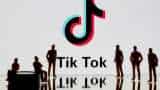 TikTok emerges as most downloaded app globally on Christmas 2021: Report