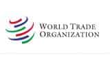 India seeks emergency meeting of WTO&#039;s General Council this month to discuss COVID package