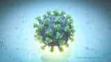 Florona: Israel reports first case of this double infection of Covid 19 and influenza, says report Florona: Israel reports first case of this double infection of Covid 19 and influenza, says report