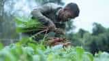 Consumer Price Index numbers for Agri, Rural labourers up by 5 points in Dec 2021 Consumer Price Index numbers for Agri, Rural labourers up by 5 points in Dec 2021