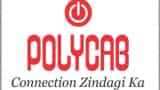 Polycab India Q3 Result: Consolidated net profit rises 1.36% to Rs 248.37 cr