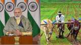 PM Kisan 10th Installment: How many members in a family can claim PM Kisan Samman Nidhi Yojana benefit? Check these details