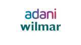 Adani Wilmar IPO allotment status check online directly on BSE link - Step-by-step guide; know listing date 