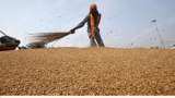India to benefit from increased global demand for metals, foodgrains