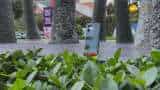 OnePlus Nord CE 2 5G Review: Buy or not to buy? | Zee Business Tech OnePlus Nord CE 2 5G Review: Buy or not to buy? | Zee Business Tech