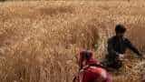 India set to export record 7 million tonnes wheat this year; an opportunity to gain market share