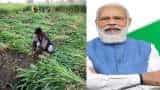 PM-Kisan scheme: Farmers must complete this process by March 31 to avail 11th installment - See details here