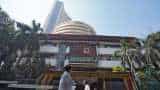 Stock Market Update: Nifty reclaims 16,700, Sensex adds more than 500 points; banking stocks shine, realty top laggard 