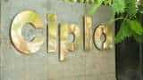 Value Pick: Strong India franchise, rich product pipeline makes Cipla shares lucrative; brokerages see 15% upside Value Pick: Strong India franchise, rich product pipeline makes Cipla shares lucrative; brokerages see 15% upside