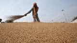 India acts to seize gap in wheat export market left by Ukraine war