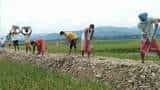 Enroling MGNREGA workers in PMJJBY & PMSBY, reducing GST to improve insurance penetration: Report
