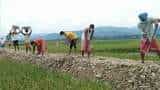 Enroling MGNREGA workers in PMJJBY & PMSBY, reducing GST to improve insurance penetration: Report Enroling MGNREGA workers in PMJJBY & PMSBY, reducing GST to improve insurance penetration: Report