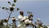 FPO Ki Masterclass: FPO activity is increasing in cotton futures, Joins Gujarat FPOs exchange