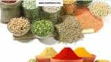 Uma Exports Ltd IPO: Issue fully booked on Day 1; Anil Singhvi says avoid this offer—Here is why Uma Exports Ltd IPO: Issue fully booked on Day 1; Anil Singhvi says avoid this offer—Here is why