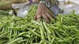 Commodities Live: Guar futures rises at NCDEX; Know where the rise in guar came from