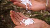 Fertiliser subsidy set to touch record Rs 1.65 lakh cr in FY23: Report Fertiliser subsidy set to touch record Rs 1.65 lakh cr in FY23: Report