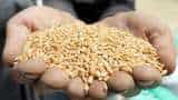 Government prohibits wheat exports with immediate effect to control rising domestic prices