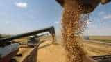 Commodities Live: Turkey Rejects Indian Wheat Consignment On Phytosanitary Concerns