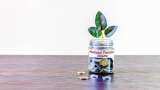 Money Guru: Need Emergency Money Before Retirement? With These Conditions, Money Can Be Withdrawn From NPS Money Guru: Need Emergency Money Before Retirement? With These Conditions, Money Can Be Withdrawn From NPS