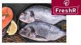 Fish, meat distribution startup FreshR raises USD 1.2 million in new funding round