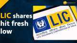  LIC Shares dropped to 24% over issue price, what should investors do?