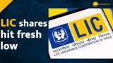 LIC Shares dropped to 24% over issue price, what should investors do? LIC Shares dropped to 24% over issue price, what should investors do?