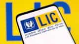 LIC gets 'outperform' rating on growth headroom, attractive valuations; should you buy? check target prices, expert's view