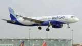 Indigo Flights Delayed After Mass Sick Leave By Crew
