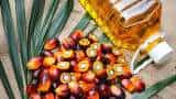 Commodities Live: Palm Oil Prices Fall Down Over 20% In 2 Days