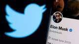 Explained by experts: Why Elon Musk is not buying Twitter