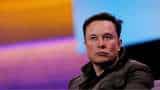 Twitter responds to Elon Musk: All you need to know 