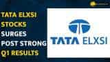 Why Tata Elxsi Share price is skyrocketing? What should investors do? 