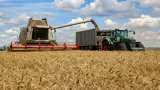 Grain Export Deal Between Russia-Ukraine Has Been Signed In Turkey, Prices Of Commodities May Fall