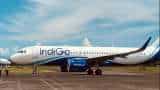  IndiGo Q1 results: Airline reports highest-ever quarterly revenue - key highlights