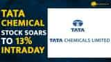 Tata chemical share price surges over 13% Intraday, What should investors do?