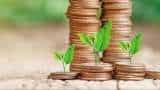 Baroda BNP Paribas Mutual Fund mobilises Rs 1,400 cr from flexi-cap scheme NFO