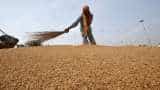  Modi government yet to decide on extending free foodgrains scheme beyond September