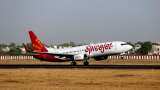 SpiceJet share price falls 15% intraday as net loss widens to Rs 789 crore in June quarter SpiceJet share price falls 15% intraday as net loss widens to Rs 789 crore in June quarter