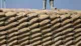 Ambuja Cements share price jumps 10%, hits 52-week high; cement stock surges over 35% in one month 