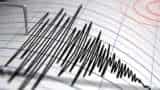 Earthquake in Ladakh, Kargil: 4.3 magnitude quake jolts region