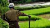 PM-KISAN Samman Nidhi beneficiary list: Step-by-step guide to check online on pmkisan.gov.in PM-KISAN Samman Nidhi beneficiary list: Step-by-step guide to check online on pmkisan.gov.in